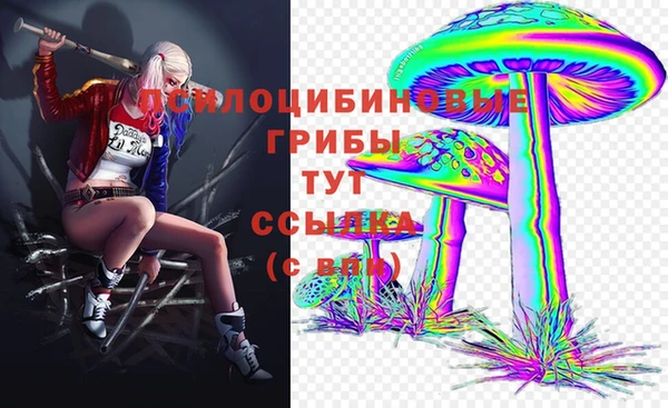 героин Алзамай