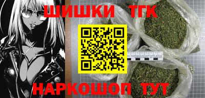 гашик Кингисепп