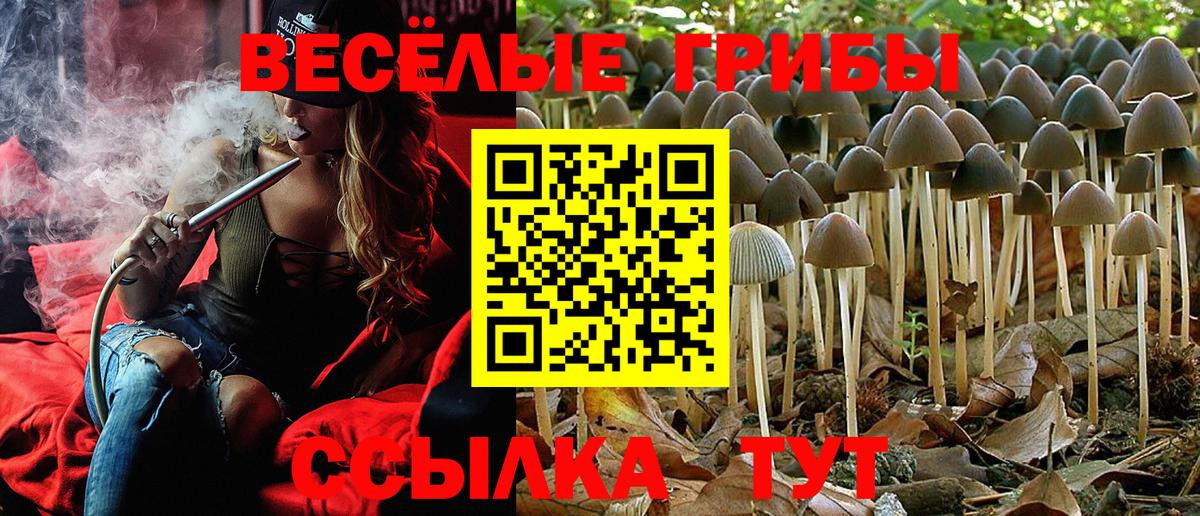 Экстази Кострома