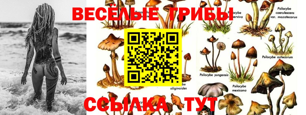 Псилоцибиновые грибы прущие грибы Кострома
