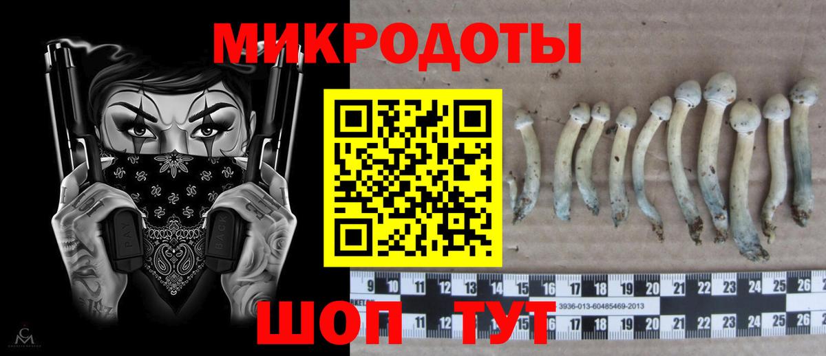 Псилоцибиновые грибы Psilocybe  Вход с VPN  Псилоцибиновые грибы прущие грибы  Кострома 
