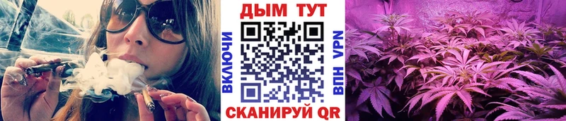 закладки  Кострома  omg ТОР  МАРИХУАНА OG Kush 